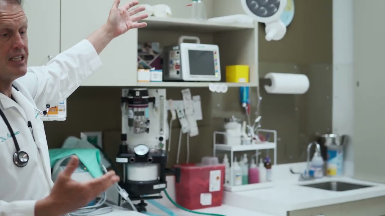 VDS Veterinary Dental Residency Program
