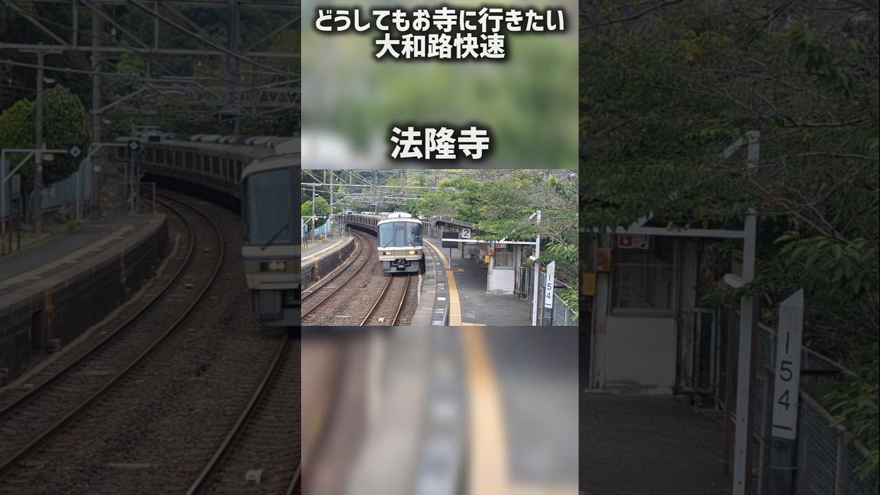 どうしてもお寺に行きたい大和路快速#鉄道 #電車 #train #jr西日本 #西日本旅客鉄道 #大和路快速 #法隆寺 #王寺 #久宝寺 #天王寺 #shorts