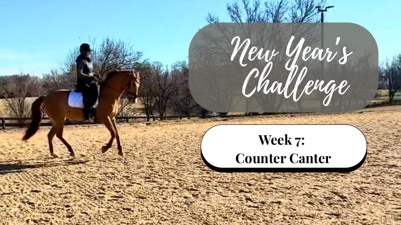 New Year’s Challenge Week 7: Counter Canter
