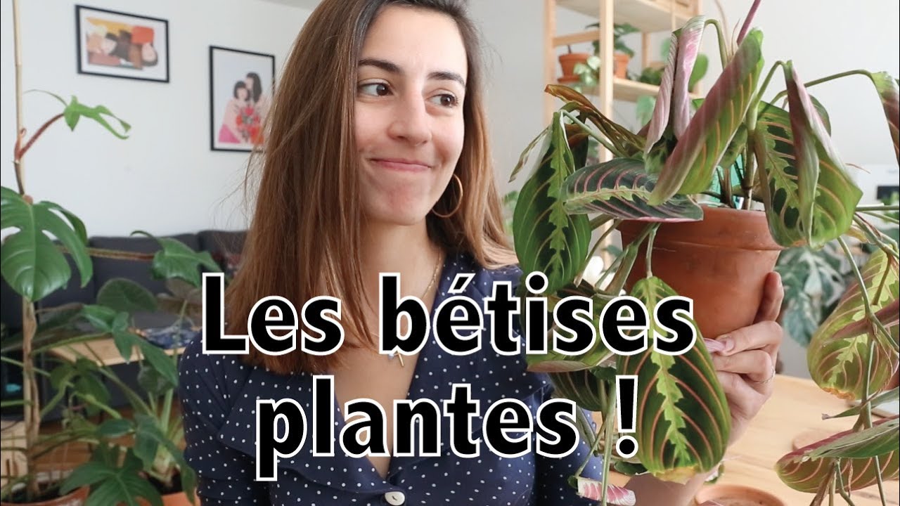 Les bêtises plantes ! #1 | Vertbobo