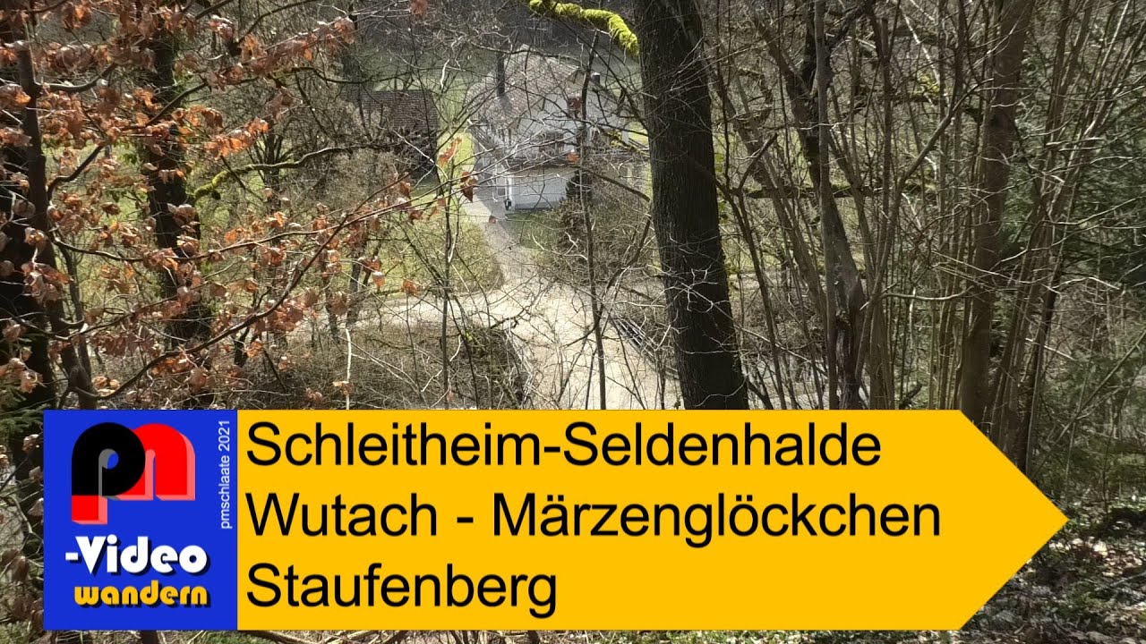 Wanderung zu den Märzenglöckchen in Schleitheim