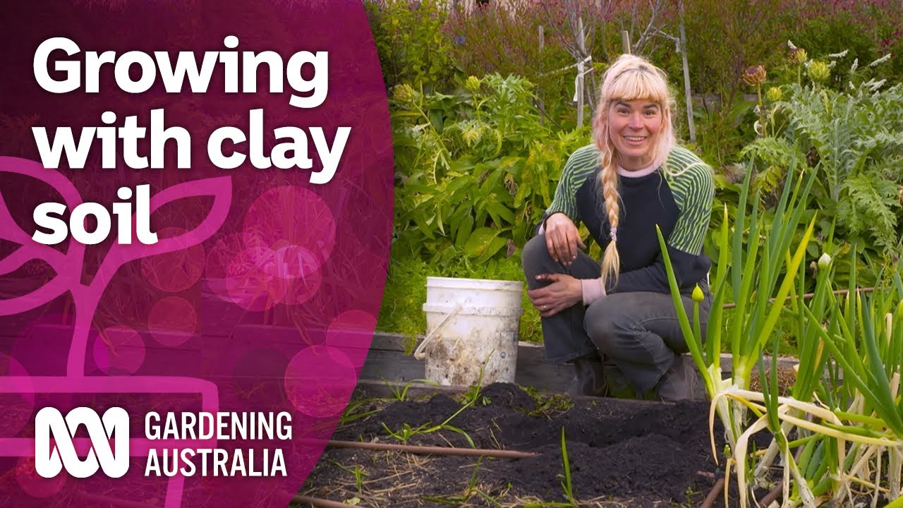 Tips for growing with heavy clay soil in your garden | Discovery | Gardening Australia