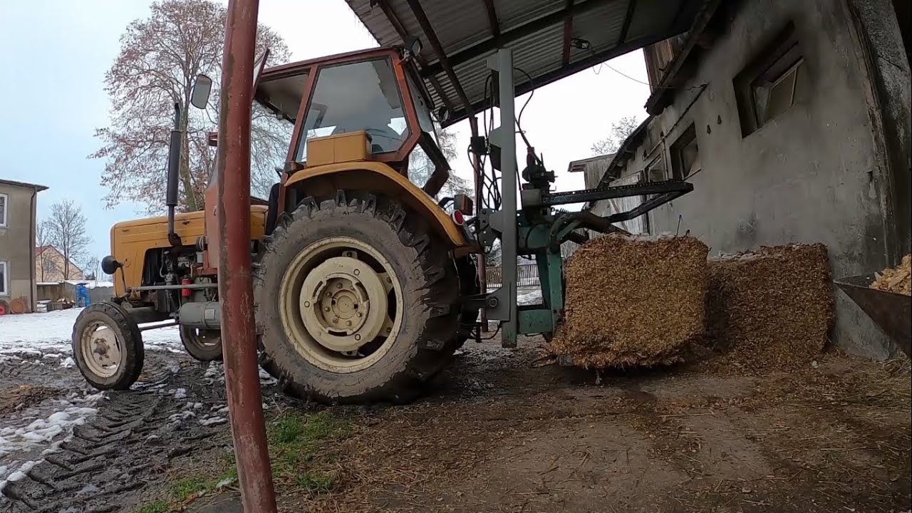 Zimowe wycinanie kiszonki || Aktualności z gospodarstwa