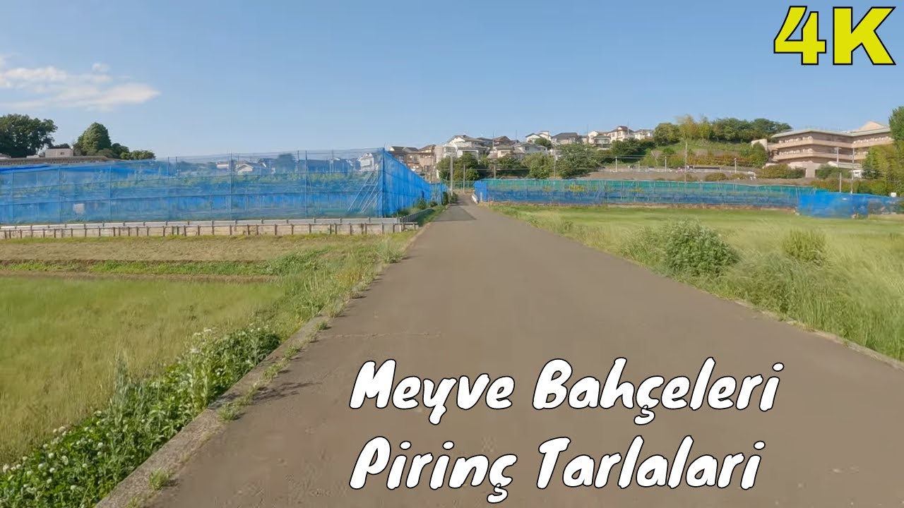 Pirinç Tarlaları ve Meyve Bahçeleri Arasında Muhabbet! Nehir Boyu Gezi PART 1, 4K | Japonic
