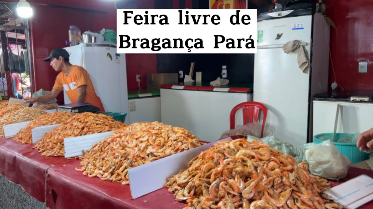A FARTURA da FEIRA de BRAGANÇA em 2022