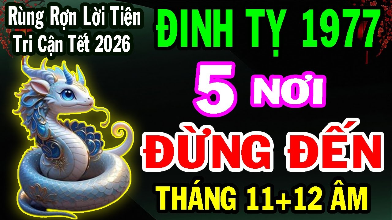 Đinh Tỵ 1977 – 2 Tháng Cuối Năm 2025: 5 Nơi Tuyệt Đối Không Nên Đặt Chân Đến Để Tránh Phiền Phức!