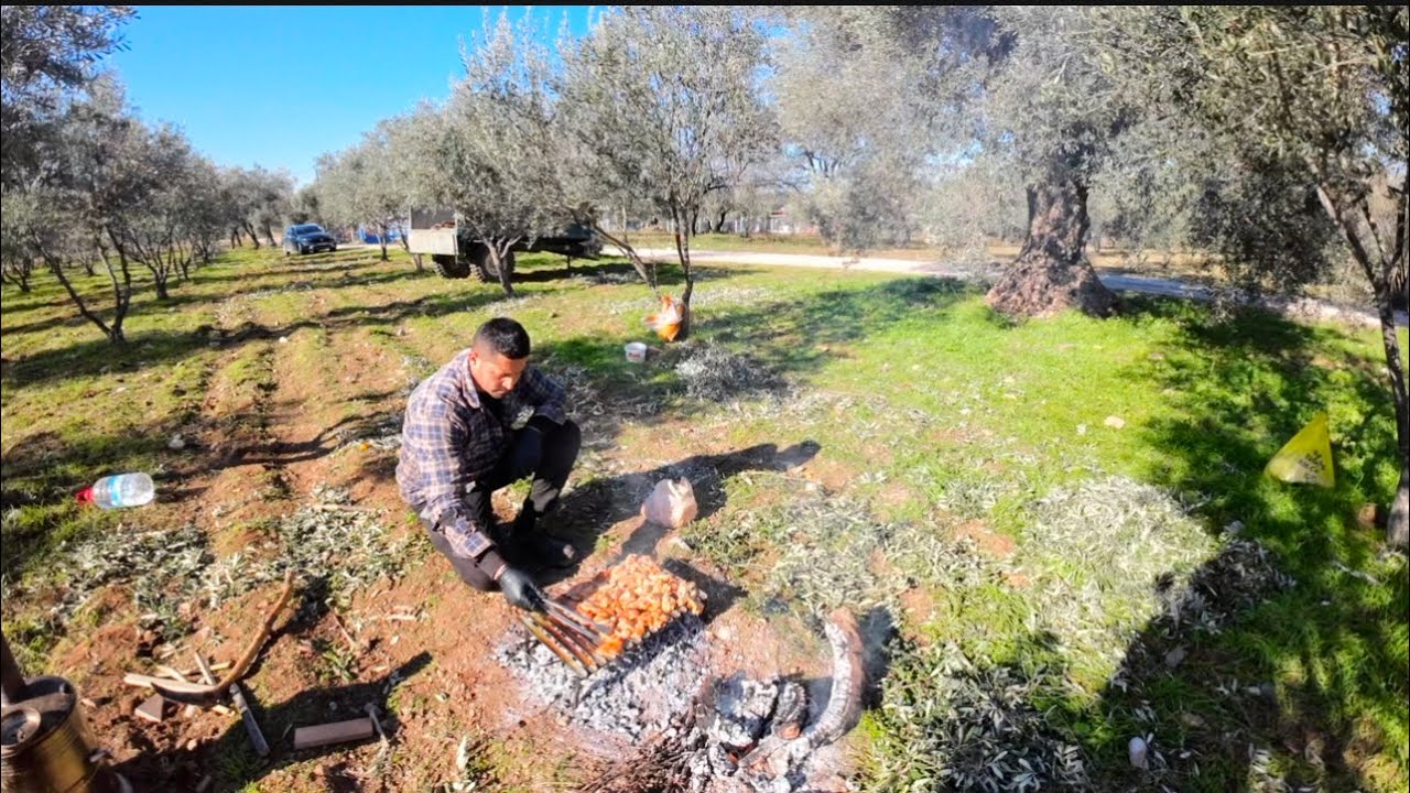 Zeytin hasatında final~~~Fİnalde Mangal keyfi ~