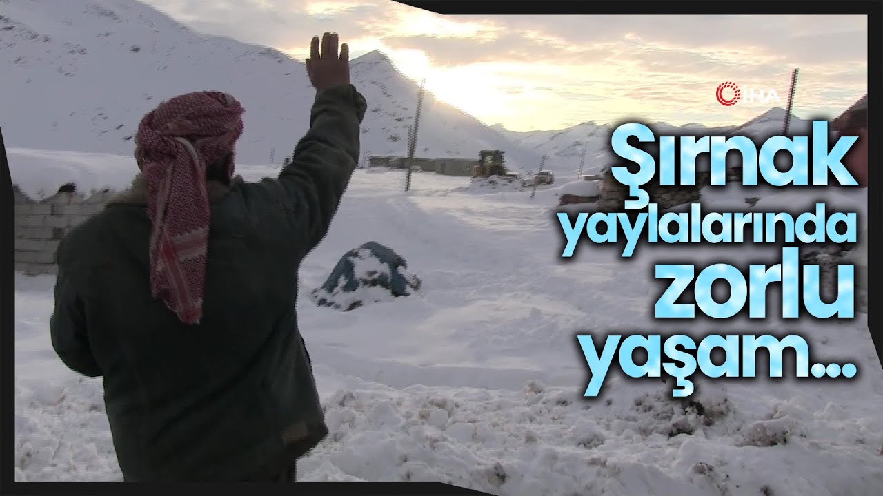 Faraşin Yaylasında Tek Odalı Bir Evde Kalan Abdulmenav Aslan'ın Yardımına Mehmetçik Koşuyor
