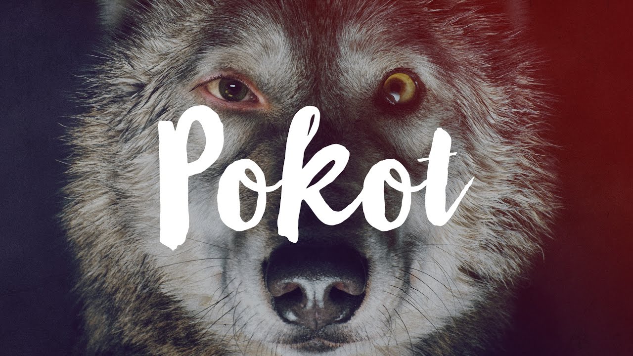 Nie mam pojęcia co ja obejrzałem, czyli Pokot