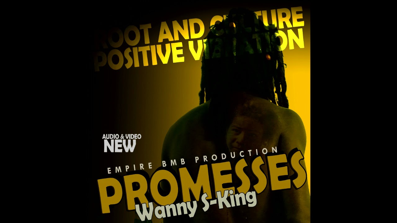 WANNY S KING - PROMESSES ( Audio officiel )