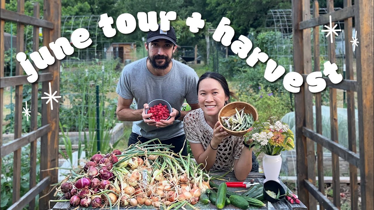 JUNE 2024 GARDEN TOUR & HARVEST