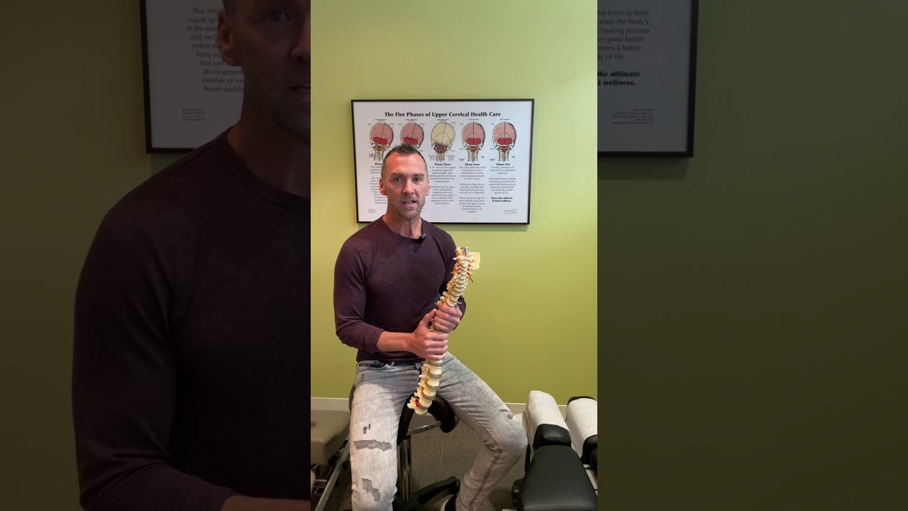 How do car accident affect the spine?