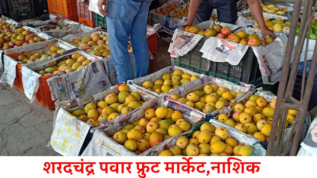 🍉🍎🍅 Desh Ka Sabse Bada Fruit Market Yahaan Hai II Nashik Mango Fruit Market I Wholesale Fruit Market