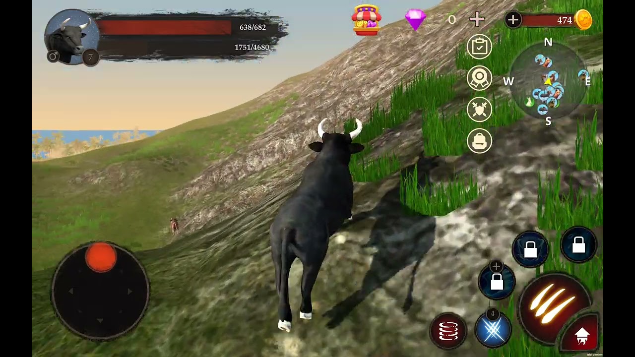 Fighting with bull