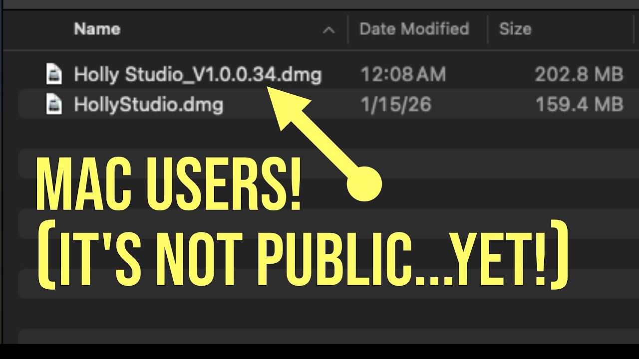 Я получил ранний доступ к бета-версии Holly Studio для Mac!