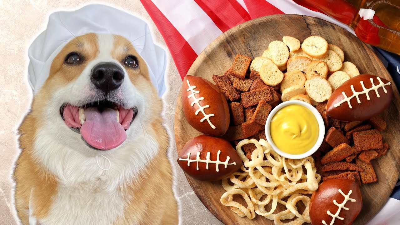 Corgi Hosts Super Bowl Party!