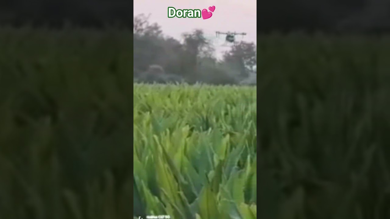 Agri Drone Sprayer   .# agriculture 