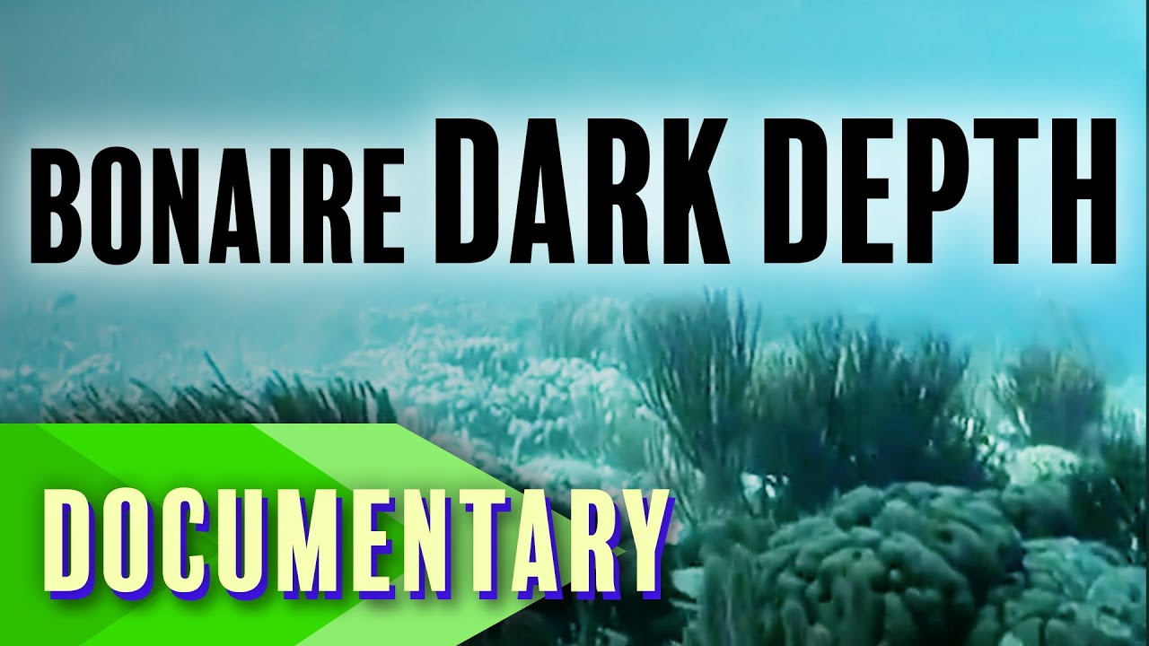 Bonaire: Dark Depth | Full Documentary