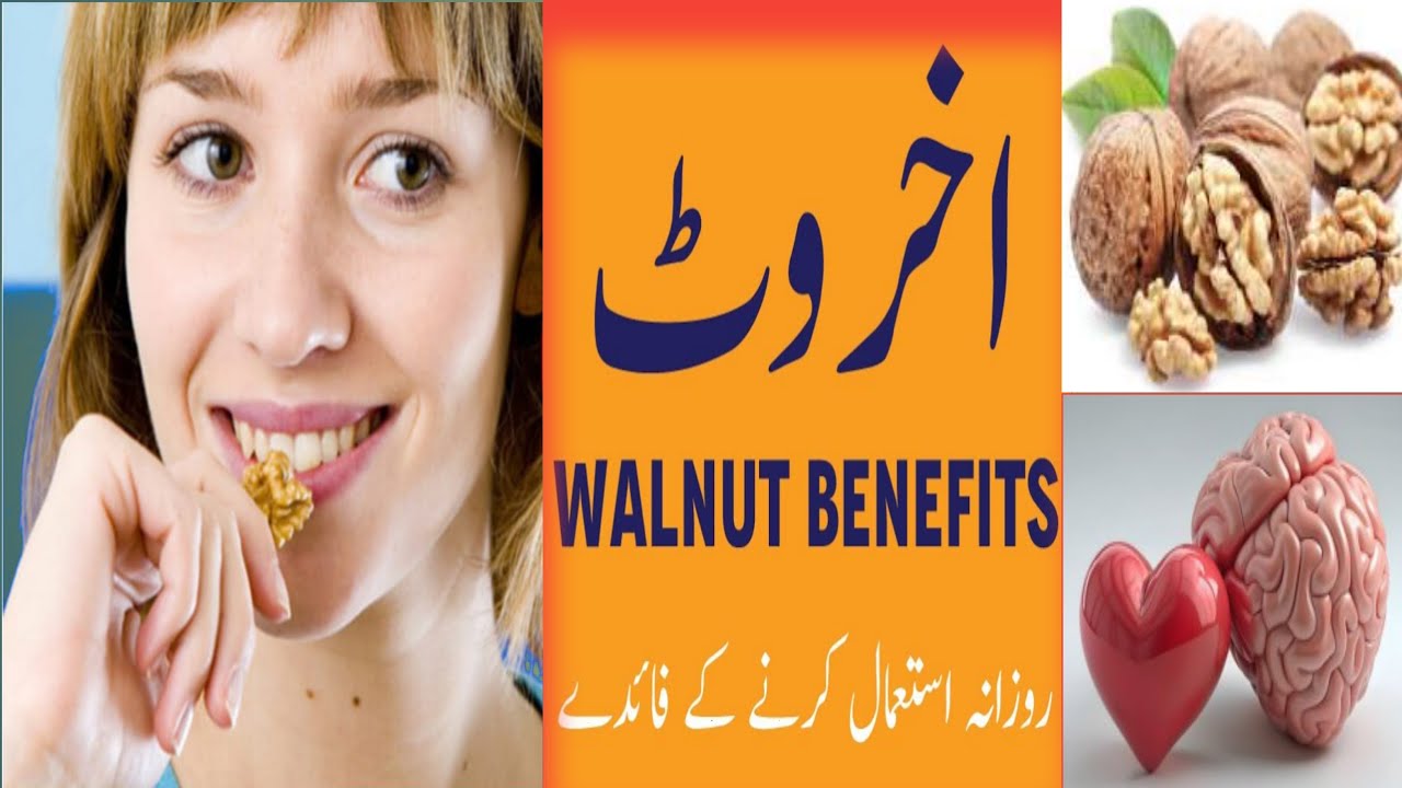 Walnuts Benefits | Akhrot  khane ke Fayde | walnuts health benefits in Urdu /Hindi | اخروٹ کے فائدے