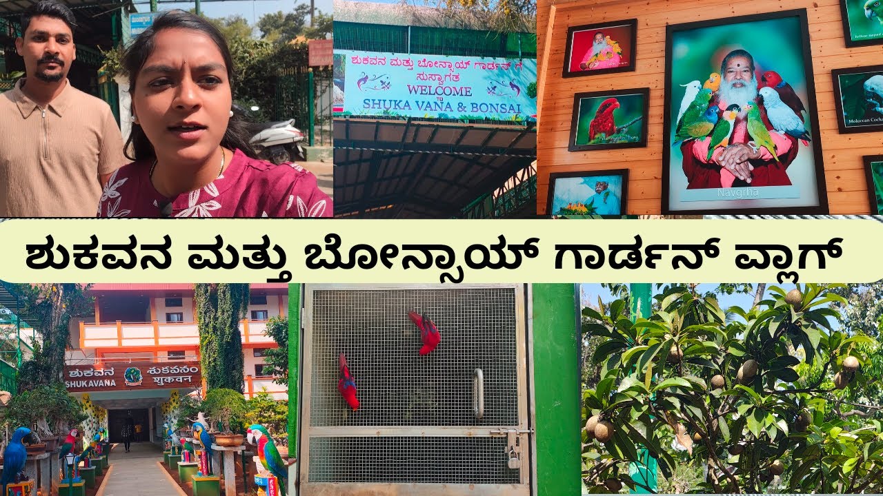 ಶುಕವನ ಮತ್ತು ಬೋನ್ಸಾಯ್ ಗಾರ್ಡನ್ ವ್ಲಾಗ್|| Shuka Vana and Bonsai Garden Vlogs/kannada vlogs/kannada video