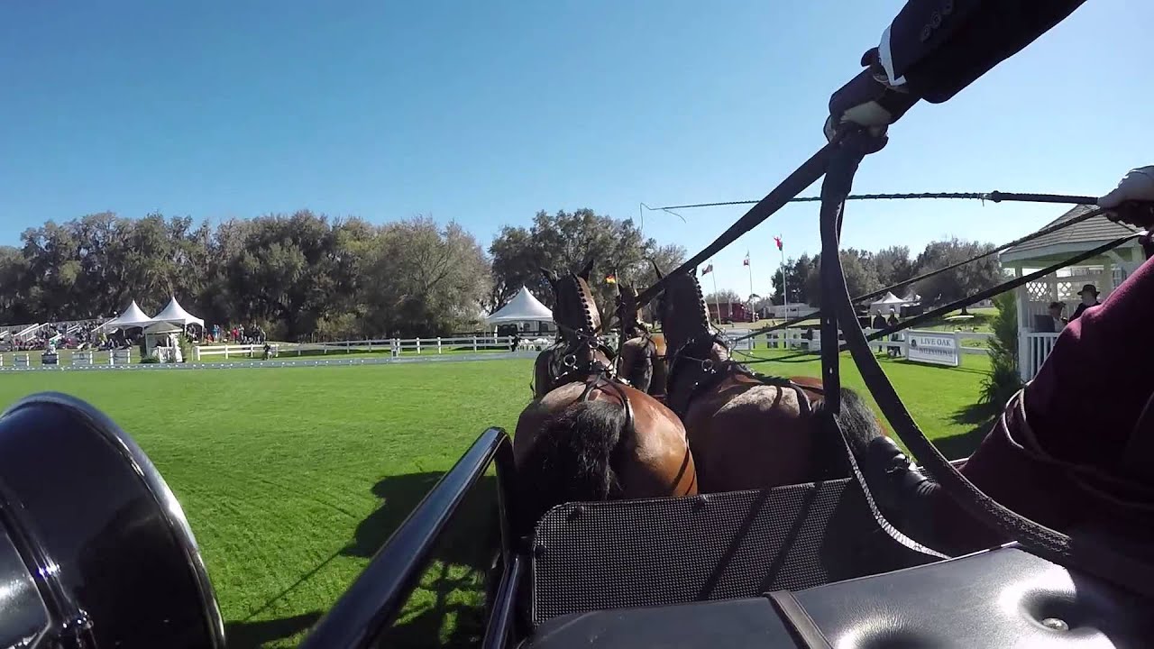 Driver's Eye View of Chester Weber's Dressage Test