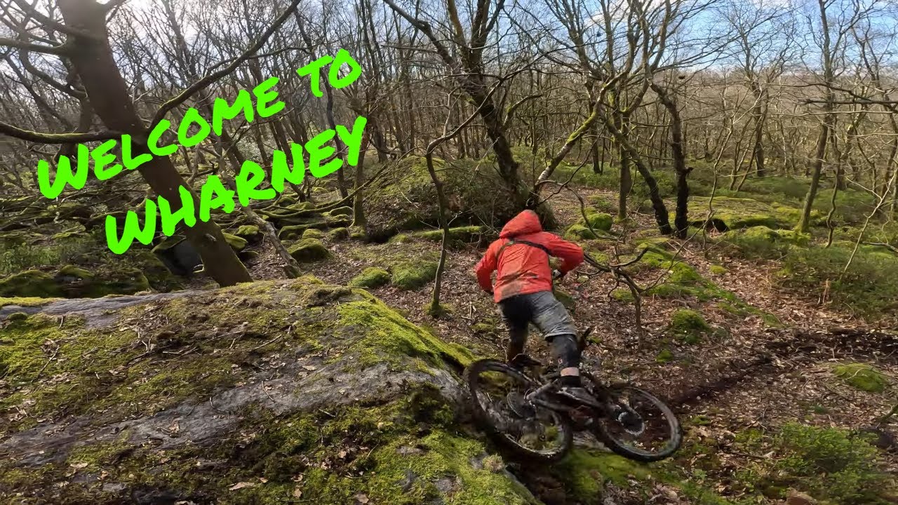 WHARNCLIFFE WOODS killed my focus sam2 2023