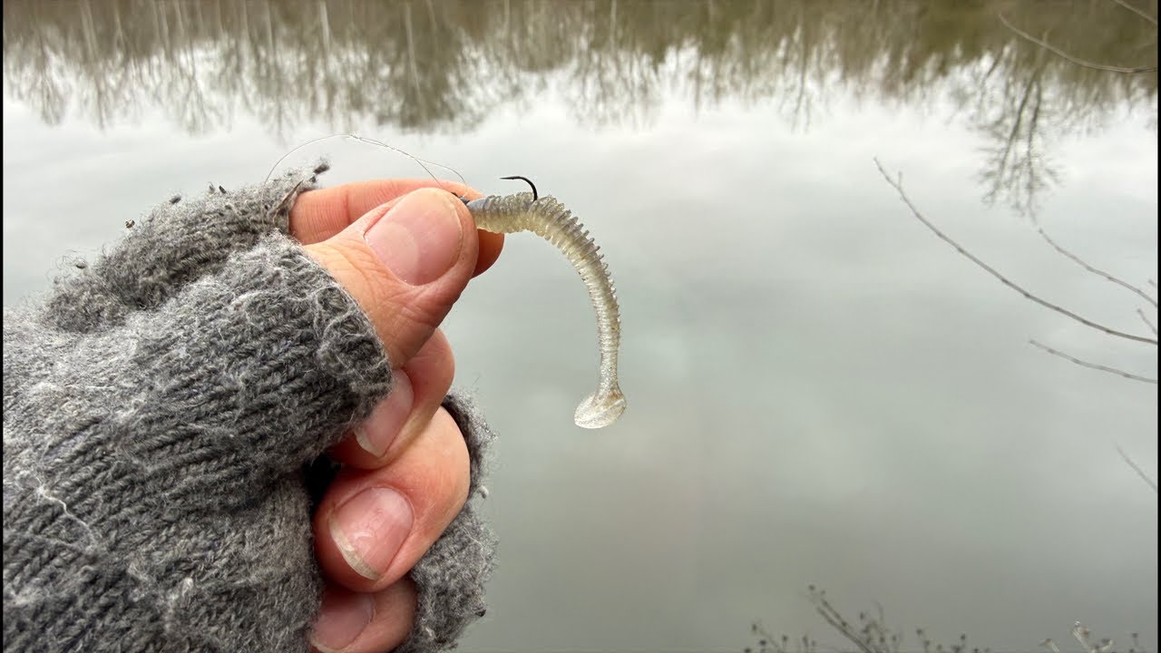 Some rather flaccid fishing… #Fishing #BassFishing #crappiefishing #catfish #eel #рыбалка #pesca