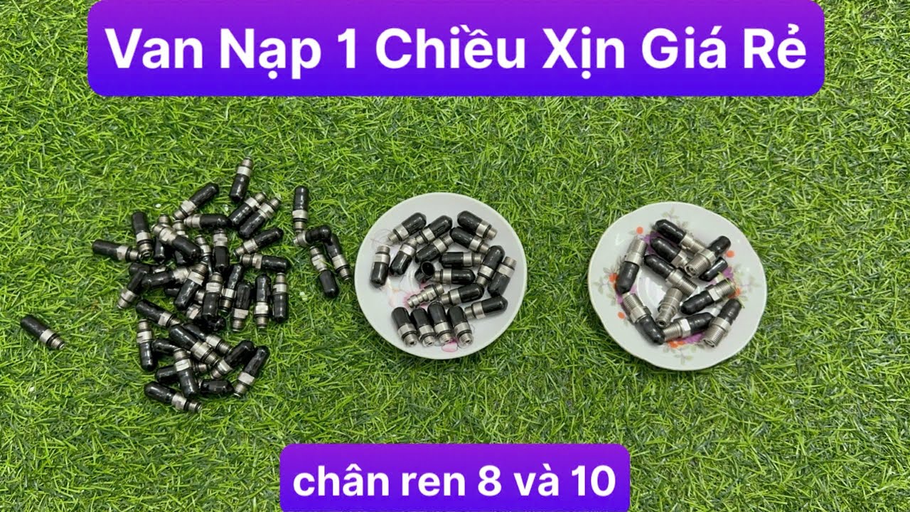 Van Nạp 1 Chiều,Van Bơm Hơi 1 Chiều, Van Nạp Hơi 1 Chiều Gi&aacute; Rẻ, Van Nạp Ch&acirc;n Ren 8, Van Nạp Ch&acirc;n 10