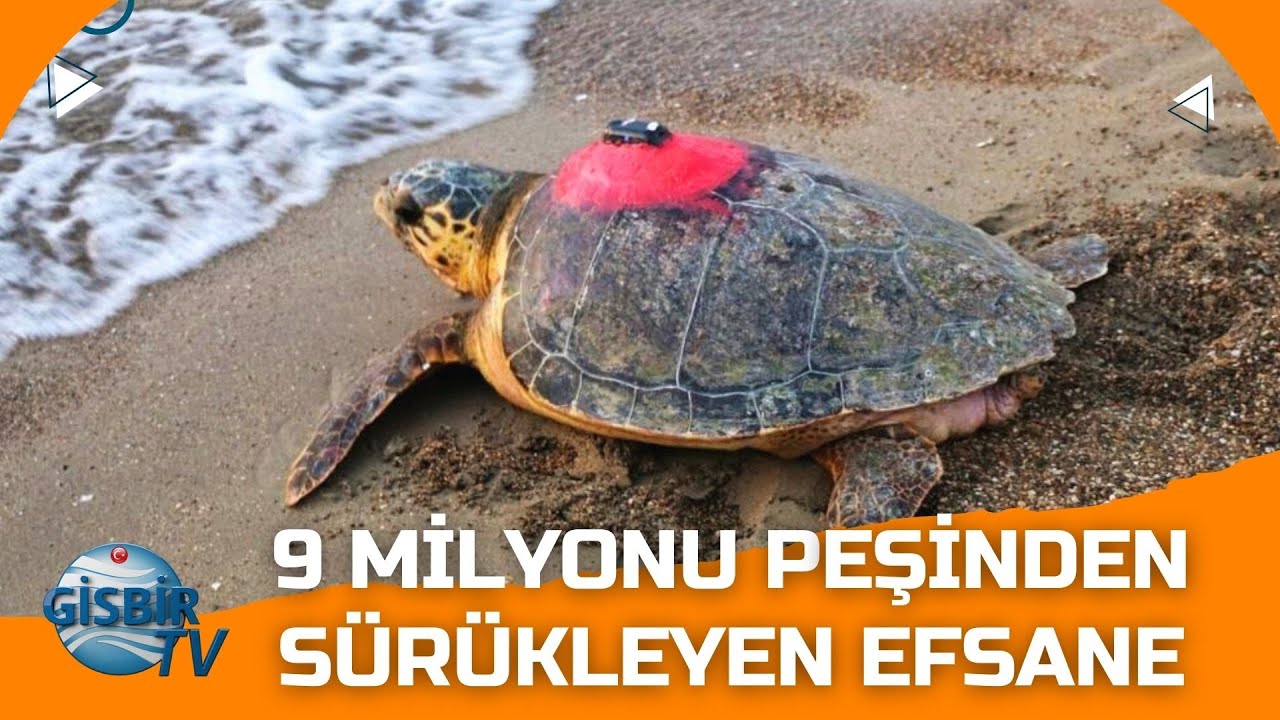 2019&rsquo;da Hayata D&ouml;nd&uuml;ğ&uuml; T&uuml;rkiye&rsquo;ye 2025&rsquo;te Geri D&ouml;nd&uuml;
