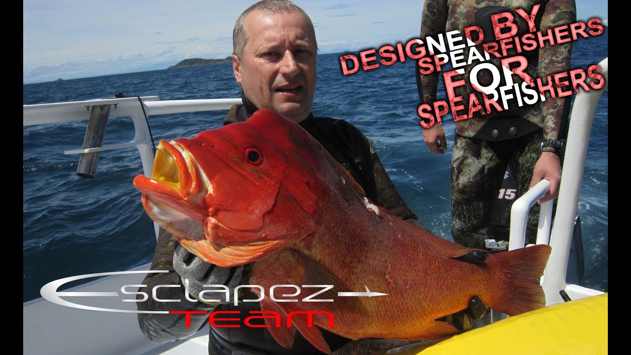 Chasse sous-marine Madagascar Pagres vivaneaux lutjans et diagrammes Spearfishing Madagascar