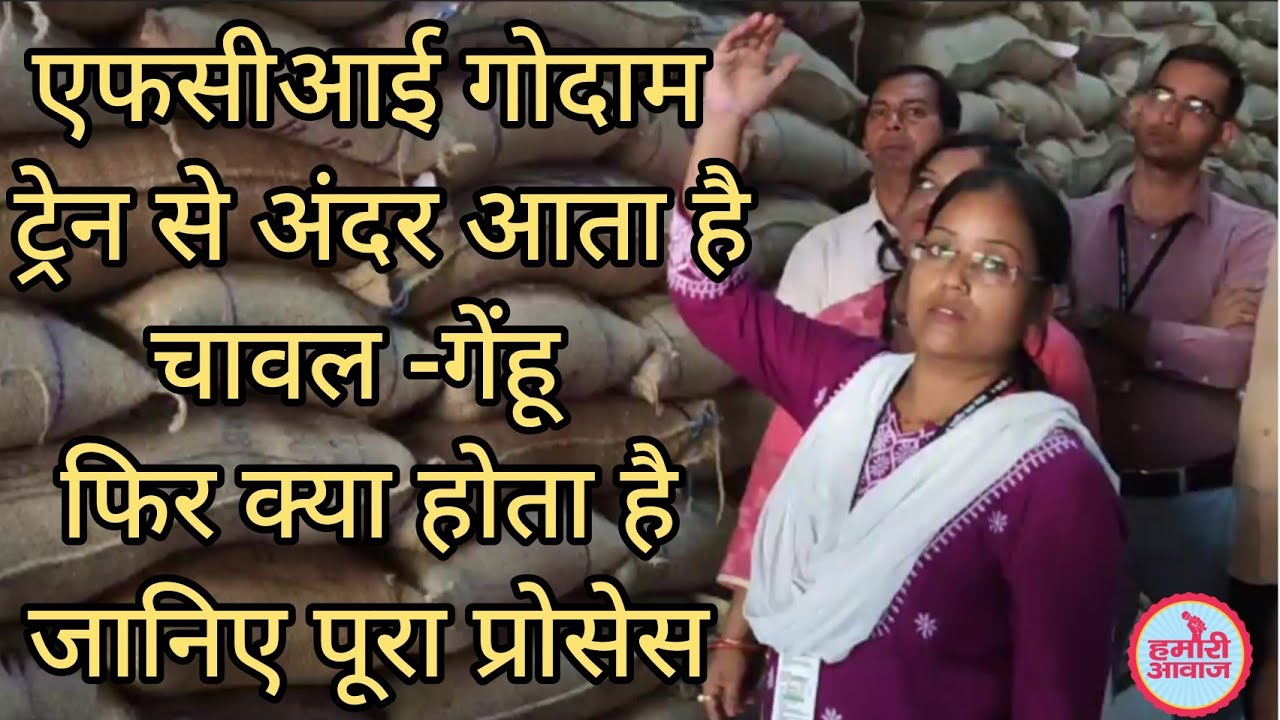 FCI के गोदामों में कैसे रखा जाता है अनाज, कहां से आता है जानिए सबकुछ | FCI Godown Phulwari Sharif