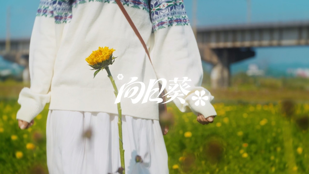 CARL卡爾-向日葵(Music Video) feat.武田t4keda