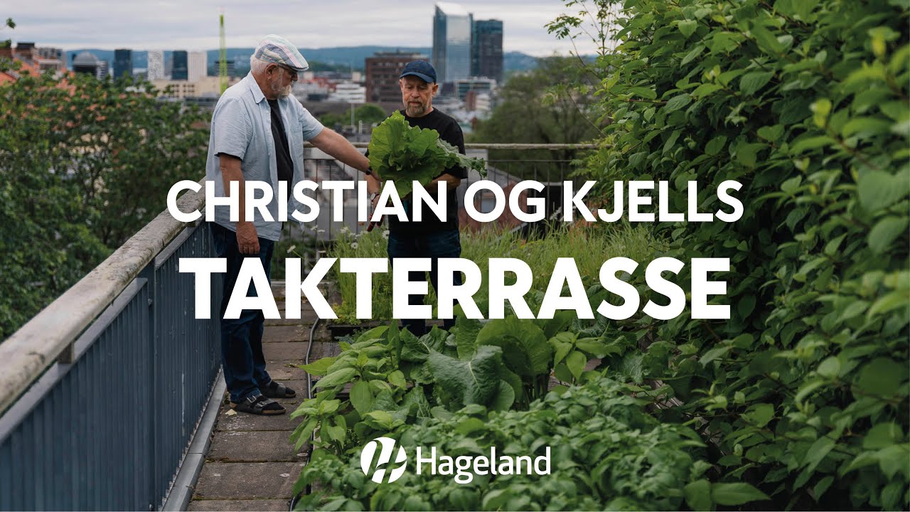 Christian og Kjells takterrasse