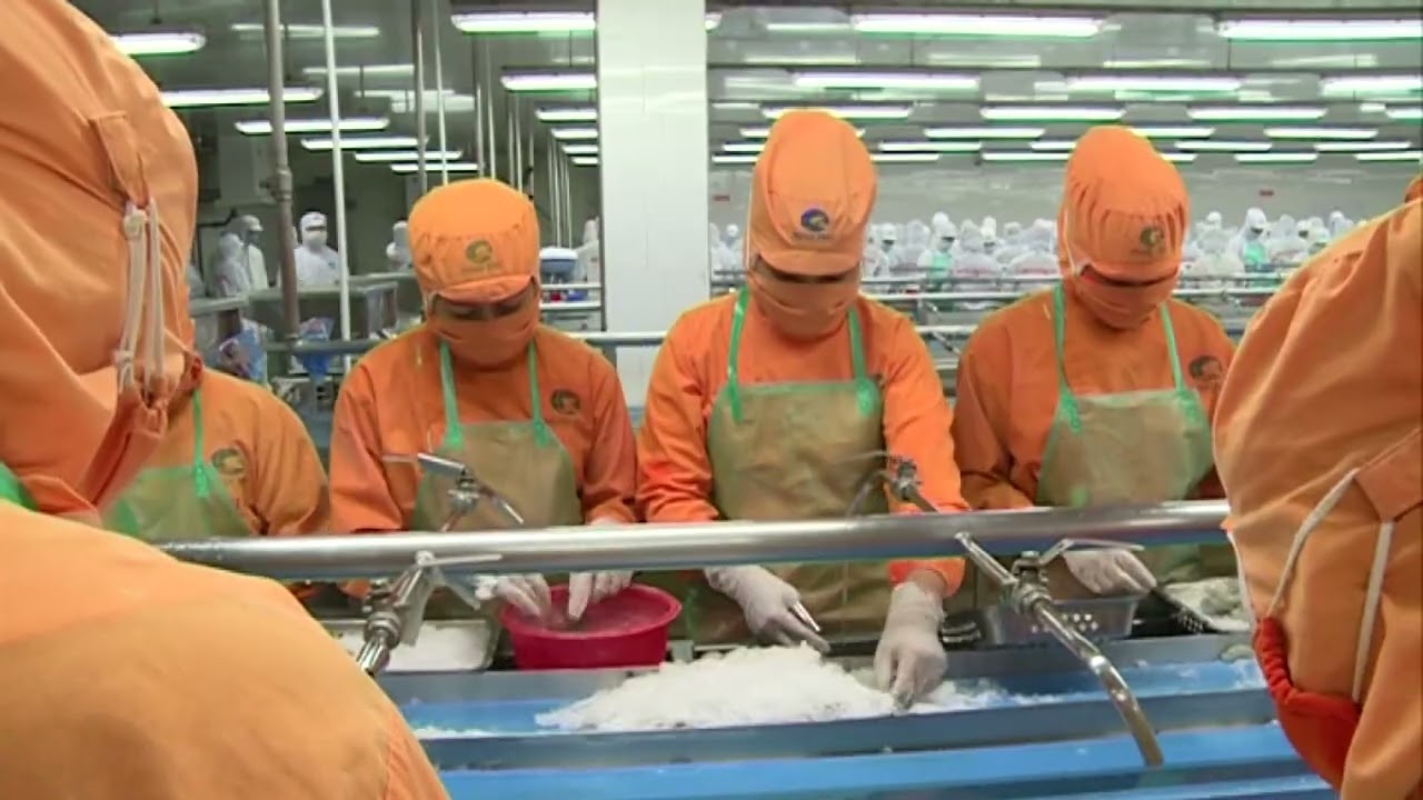 Экспорт продукции водного промысла вырос на 15,5% за первые девять месяцев