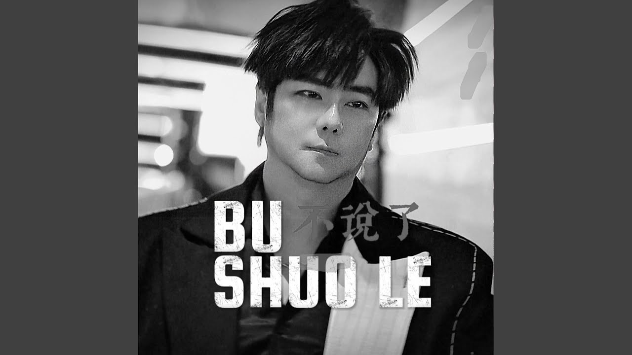 Bu Shuo Le 不说了