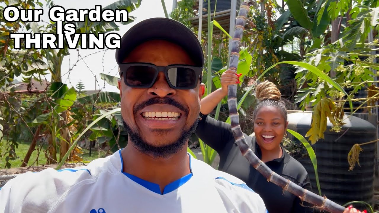 Soft Life in Nigeria: Garden Harvest, Hubby tries Homemade Chic-Fil-A, Hiring house help!! 