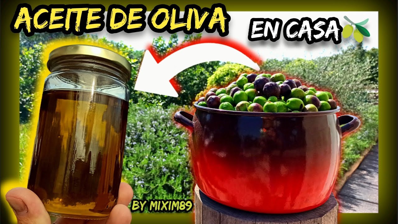 Como Elaborar ACEITE de OLIVA VIRGEN EXTRA ▶ En tu Casa Muy FÁCIL (Paso a Paso) by mixim89