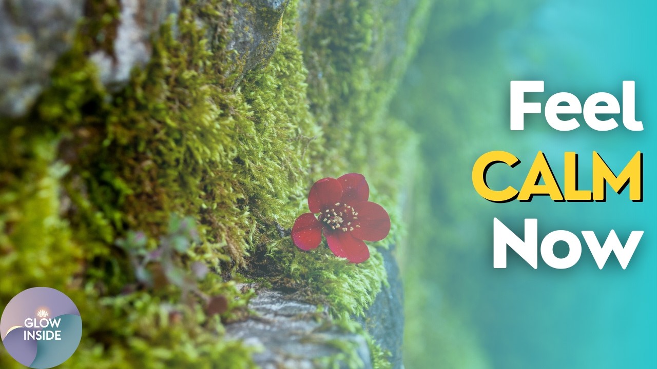 Feel Safe Right Now | 5 Minute Guided Meditation for Calm