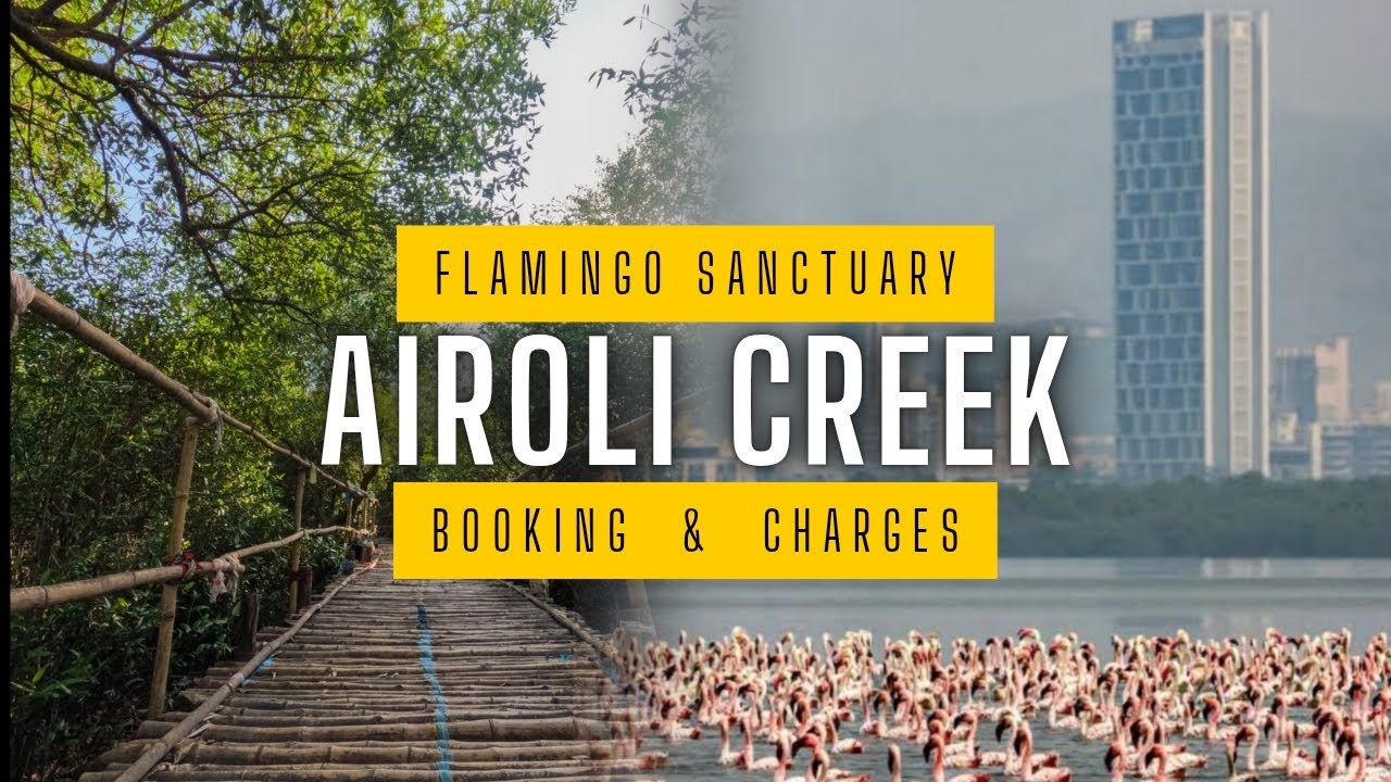 Flamingo Sanctuary Airoli(only for 55₹)| Boat safari | Mangrove Trail | Best Time to Visit