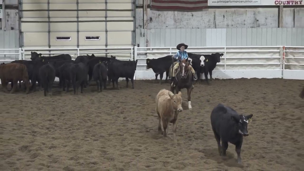 Betonwoody: Youth at 2026 OMCHA Winter Show