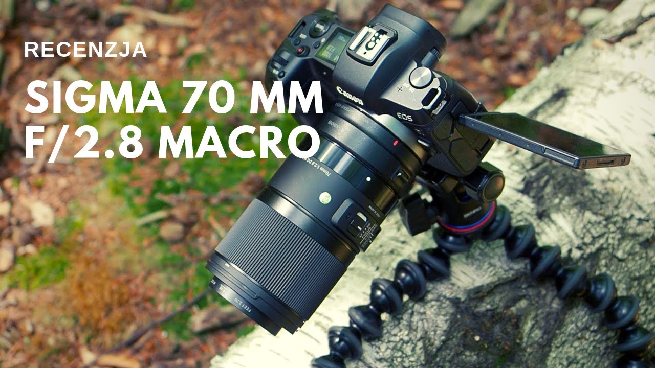 Sigma 70 mm f/2.8 A DG Macro - recenzja obiektywu