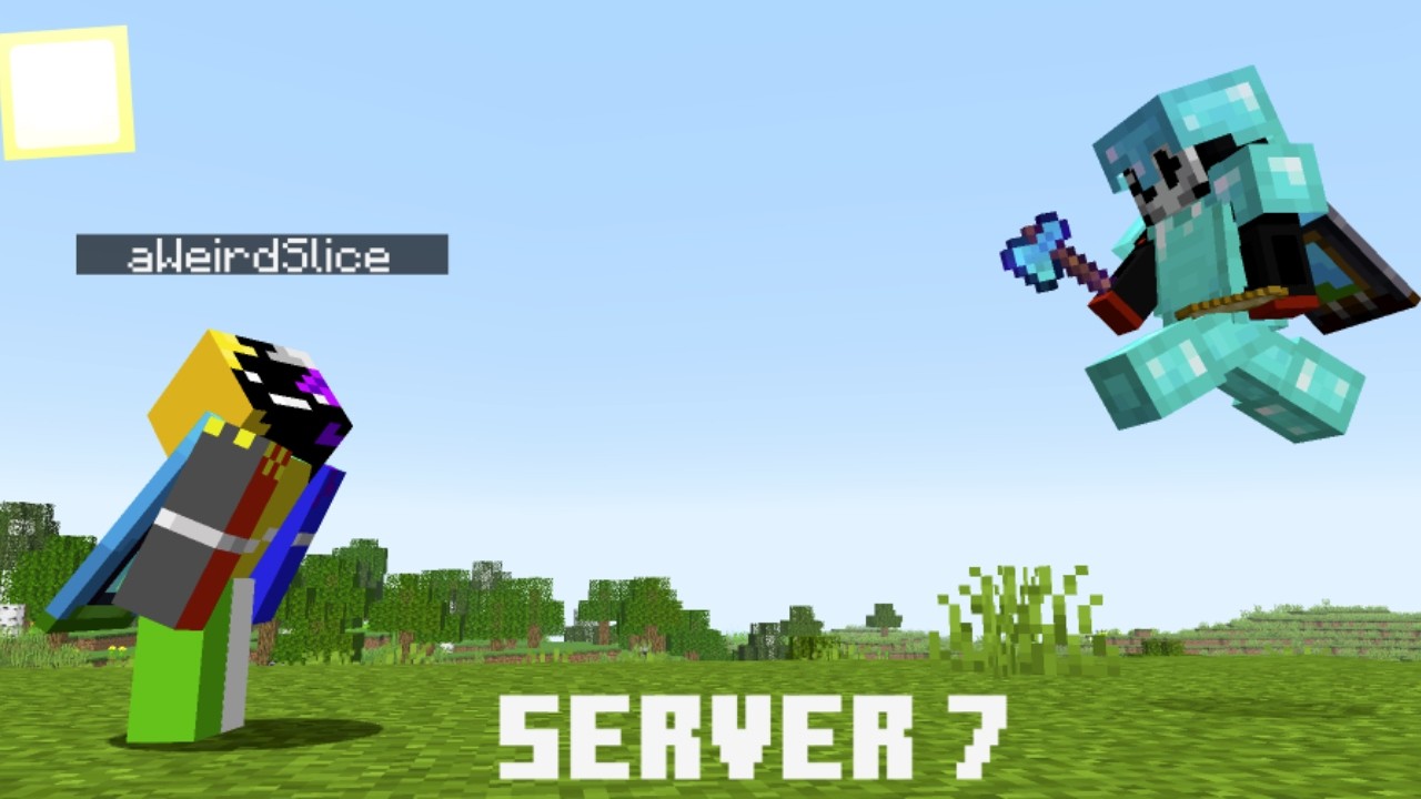 I rated Minecraft servers.