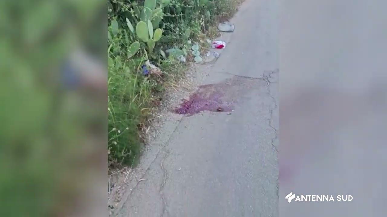 03 Giugno 2022   Alessano LE   investito mentre passeggia col cane