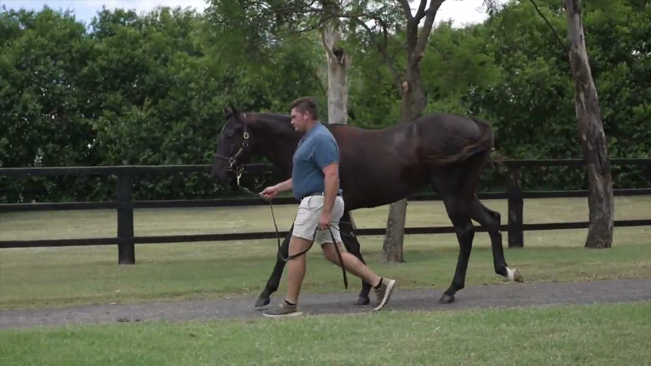 Lot 1059
