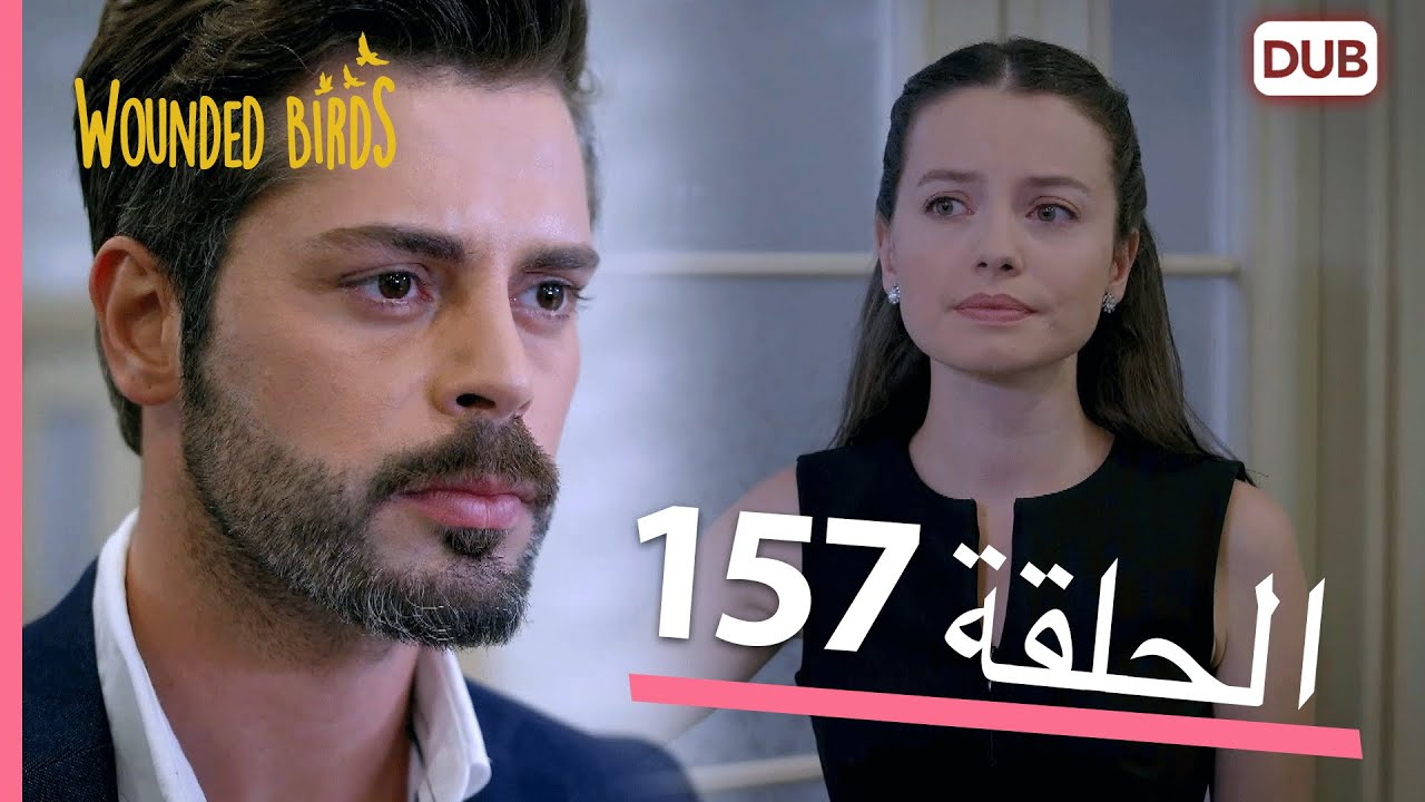 الطيور الجريحة | الحلقة الكاملة 157 |  مدبلج عربي