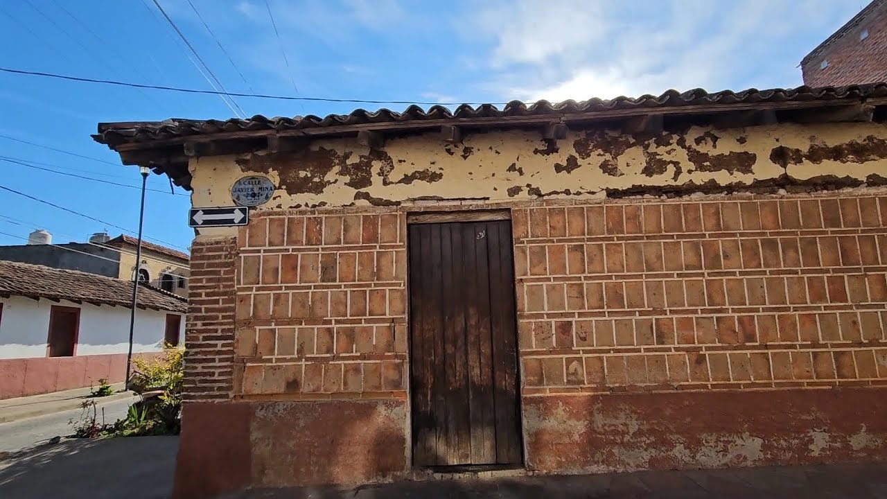 Walktour Calles Constitución y Javier Mina || Concepción de Buenos Aires || 19 de Marzo 2025 🏘