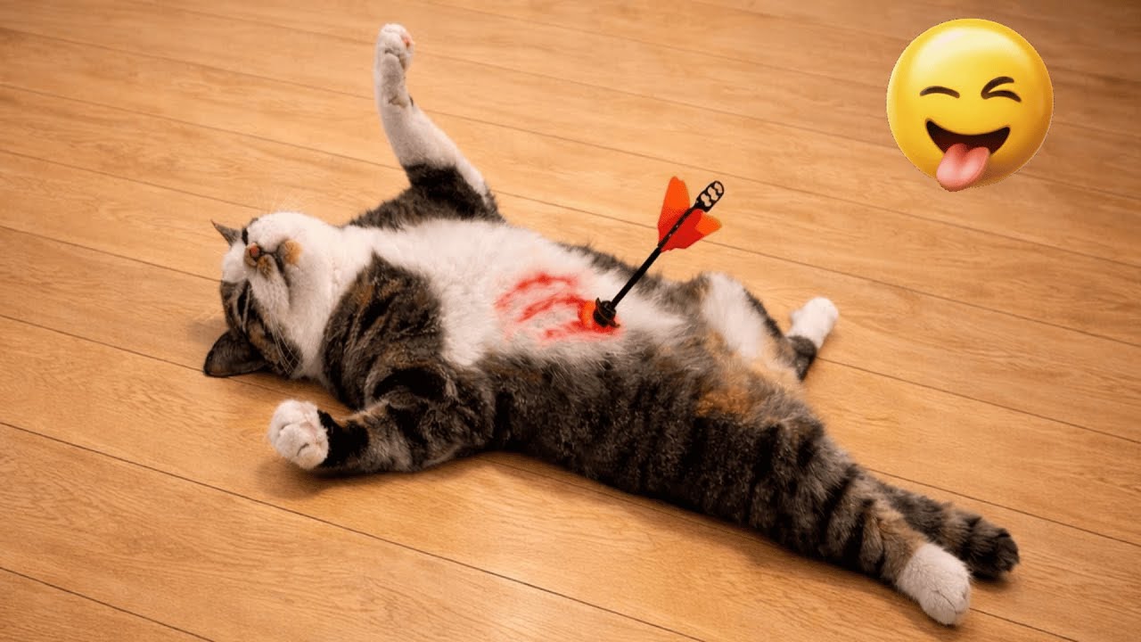 You Laugh You Restart 💗 Funniest Cats and Dogs 2026 🐾 😽