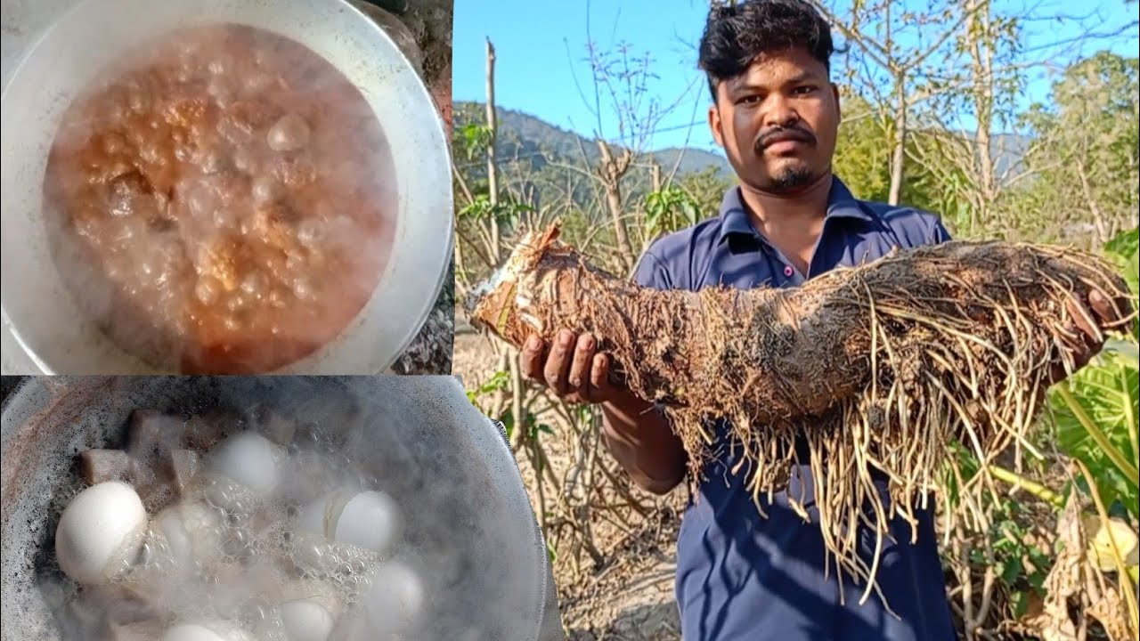 GIANT TARO ROOT EGG RECIPE / Village style GIANT TARO ROOT EGG RECIPE / Tribal people cooking videos