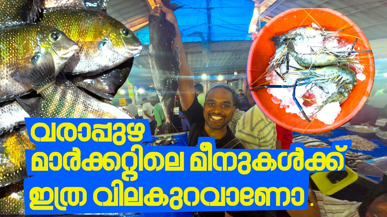 ഈ നോബ്  കാലത്തു VARAPUZHA ചെട്ടിഭാഗം  മാർക്കറ്റിലെ വിശേഷങ്ങളും മീനിന്റെ വിലയും ഒന്ന് അറിഞ്ഞാലോ .