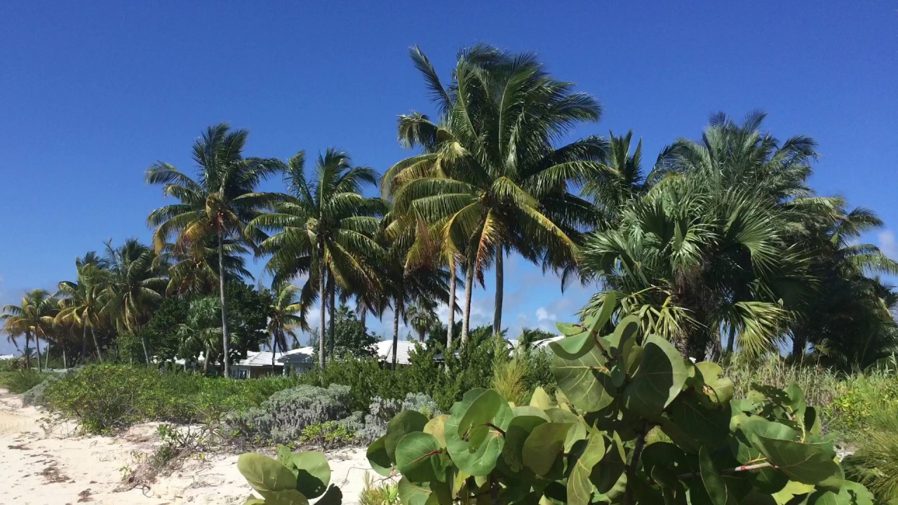 Most beautiful beaches - Grand Bahama